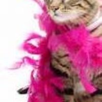 Pussy Riot: My Womanly Weekend