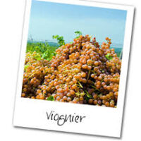 Getting Things Off My Chest: If You Can’t Be With the Wine You Love.....