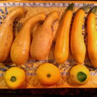 Getting Things Off My Chest: The Sixth Sense in Flavor