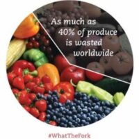 Trimming Your Waste- Why It Matters To Stop Trashing Your Food