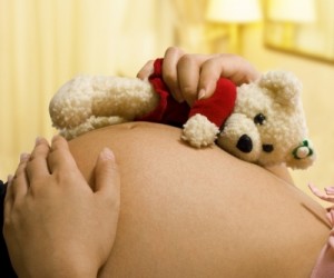 pregnant with teddy bear