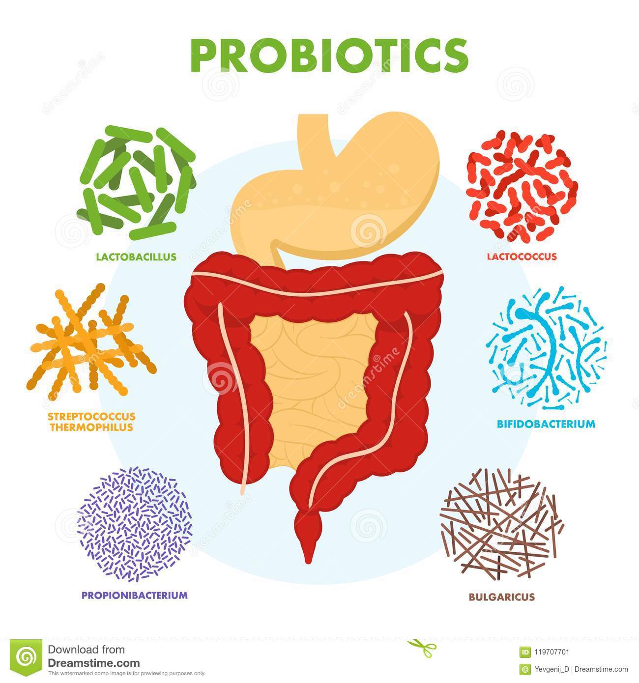 Probiotics Versus Enzymes Digesting the Difference Melanie Young